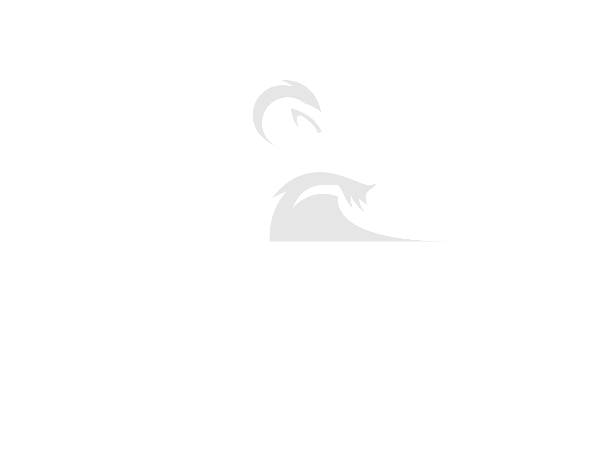 logo aqiqah lombok ok